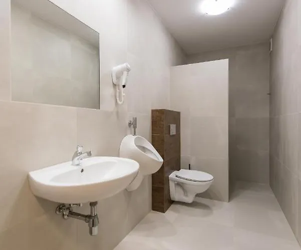 Sms Free Parking بيدغوستيا